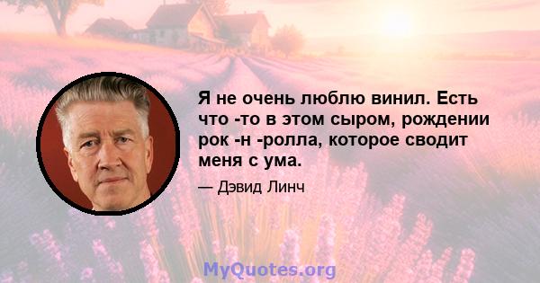 Я не очень люблю винил. Есть что -то в этом сыром, рождении рок -н -ролла, которое сводит меня с ума.