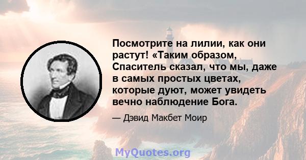 Посмотрите на лилии, как они растут! «Таким образом, Спаситель сказал, что мы, даже в самых простых цветах, которые дуют, может увидеть вечно наблюдение Бога.