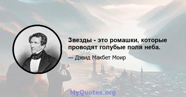 Звезды - это ромашки, которые проводят голубые поля неба.