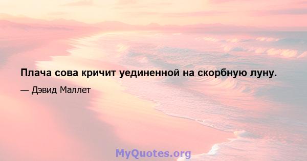 Плача сова кричит уединенной на скорбную луну.