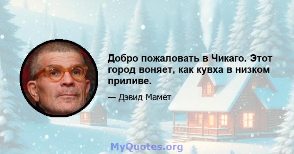 Добро пожаловать в Чикаго. Этот город воняет, как кувха в низком приливе.