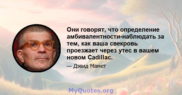 Они говорят, что определение амбивалентности-наблюдать за тем, как ваша свекровь проезжает через утес в вашем новом Cadillac.