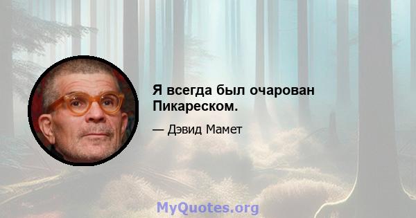 Я всегда был очарован Пикареском.