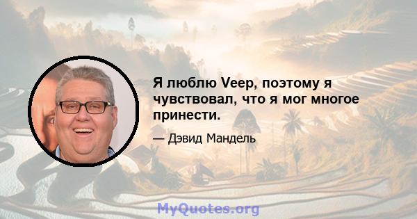 Я люблю Veep, поэтому я чувствовал, что я мог многое принести.