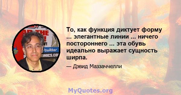 То, как функция диктует форму ... элегантные линии ... ничего постороннего ... эта обувь идеально выражает сущность ширпа.