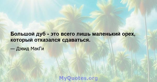 Большой дуб - это всего лишь маленький орех, который отказался сдаваться.