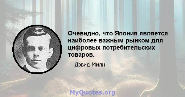 Очевидно, что Япония является наиболее важным рынком для цифровых потребительских товаров.