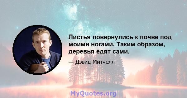 Листья повернулись к почве под моими ногами. Таким образом, деревья едят сами.