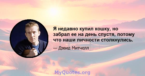 Я недавно купил кошку, но забрал ее на день спустя, потому что наши личности столкнулись.