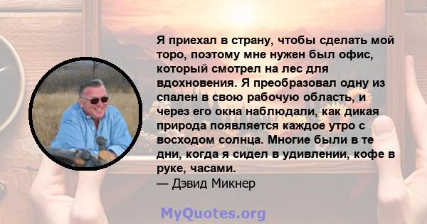 Я приехал в страну, чтобы сделать мой торо, поэтому мне нужен был офис, который смотрел на лес для вдохновения. Я преобразовал одну из спален в свою рабочую область, и через его окна наблюдали, как дикая природа