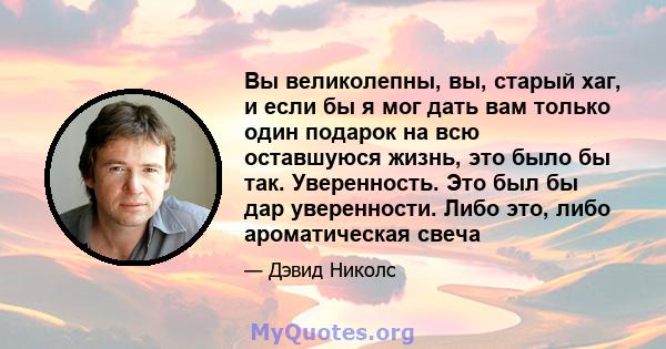 Вы великолепны, вы, старый хаг, и если бы я мог дать вам только один подарок на всю оставшуюся жизнь, это было бы так. Уверенность. Это был бы дар уверенности. Либо это, либо ароматическая свеча