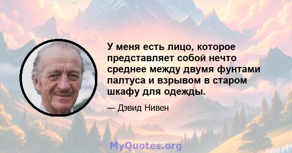 У меня есть лицо, которое представляет собой нечто среднее между двумя фунтами палтуса и взрывом в старом шкафу для одежды.