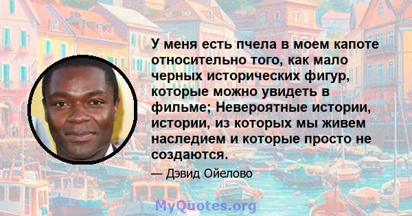 У меня есть пчела в моем капоте относительно того, как мало черных исторических фигур, которые можно увидеть в фильме; Невероятные истории, истории, из которых мы живем наследием и которые просто не создаются.