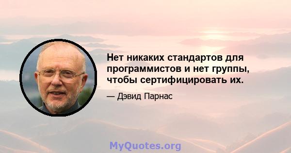 Нет никаких стандартов для программистов и нет группы, чтобы сертифицировать их.