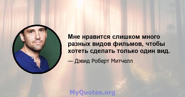 Мне нравится слишком много разных видов фильмов, чтобы хотеть сделать только один вид.