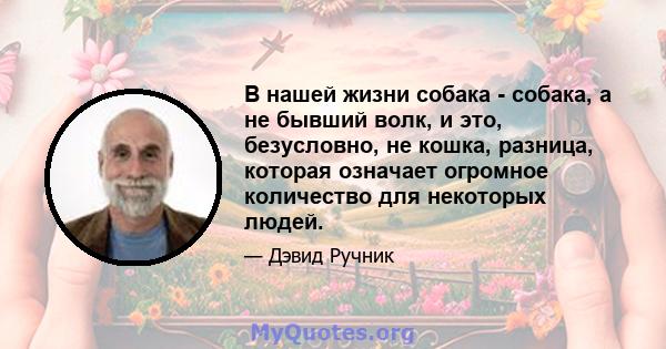 В нашей жизни собака - собака, а не бывший волк, и это, безусловно, не кошка, разница, которая означает огромное количество для некоторых людей.