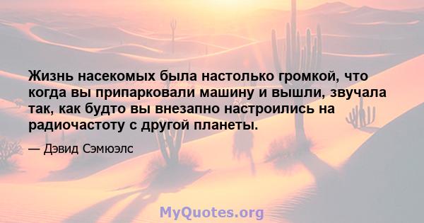 Жизнь насекомых была настолько громкой, что когда вы припарковали машину и вышли, звучала так, как будто вы внезапно настроились на радиочастоту с другой планеты.