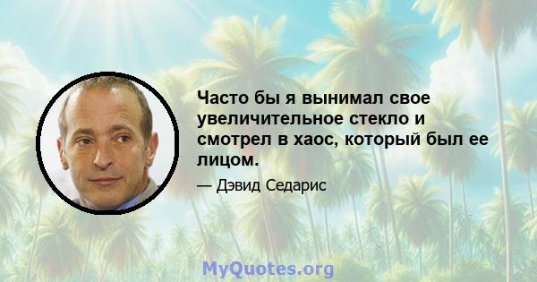 Часто бы я вынимал свое увеличительное стекло и смотрел в хаос, который был ее лицом.