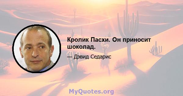 Кролик Пасхи. Он приносит шоколад.