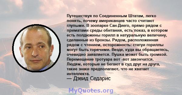 Путешествуя по Соединенным Штатам, легко понять, почему американцев часто считают глупыми. В зоопарке Сан-Диего, прямо рядом с приматами среды обитания, есть показ, в котором есть полдюжины горилл в натуральную