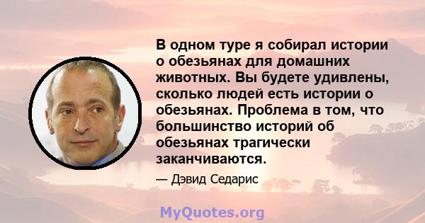 В одном туре я собирал истории о обезьянах для домашних животных. Вы будете удивлены, сколько людей есть истории о обезьянах. Проблема в том, что большинство историй об обезьянах трагически заканчиваются.