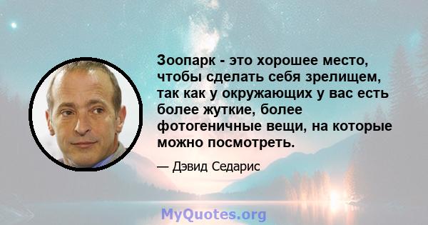 Зоопарк - это хорошее место, чтобы сделать себя зрелищем, так как у окружающих у вас есть более жуткие, более фотогеничные вещи, на которые можно посмотреть.