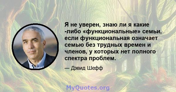 Я не уверен, знаю ли я какие -либо «функциональные» семьи, если функциональная означает семью без трудных времен и членов, у которых нет полного спектра проблем.