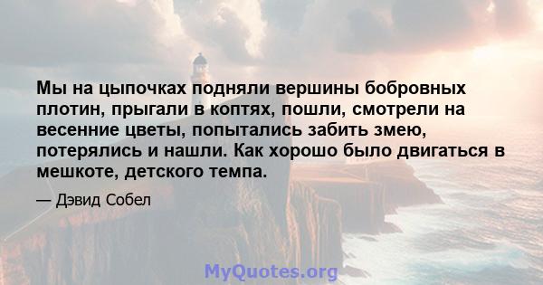 Мы на цыпочках подняли вершины бобровных плотин, прыгали в коптях, пошли, смотрели на весенние цветы, попытались забить змею, потерялись и нашли. Как хорошо было двигаться в мешкоте, детского темпа.