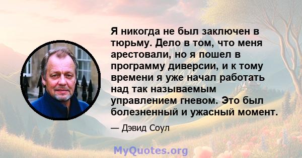 Я никогда не был заключен в тюрьму. Дело в том, что меня арестовали, но я пошел в программу диверсии, и к тому времени я уже начал работать над так называемым управлением гневом. Это был болезненный и ужасный момент.