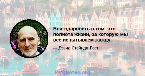 Благодарность в том, что полнота жизни, за которую мы все испытываем жажду.