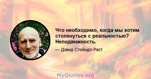 Что необходимо, когда мы хотим столкнуться с реальностью? Неподвижность.