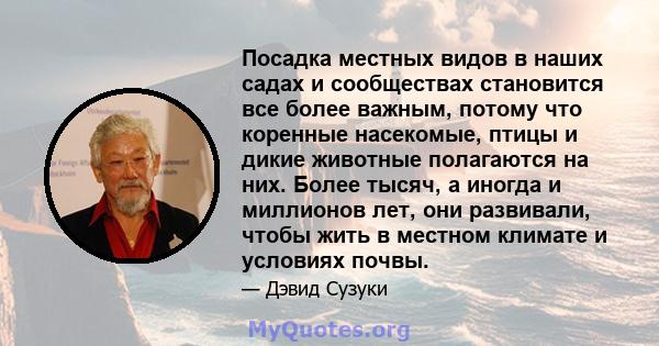 Посадка местных видов в наших садах и сообществах становится все более важным, потому что коренные насекомые, птицы и дикие животные полагаются на них. Более тысяч, а иногда и миллионов лет, они развивали, чтобы жить в