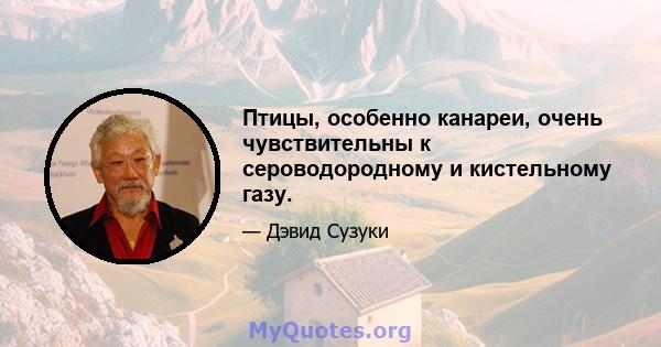 Птицы, особенно канареи, очень чувствительны к сероводородному и кистельному газу.