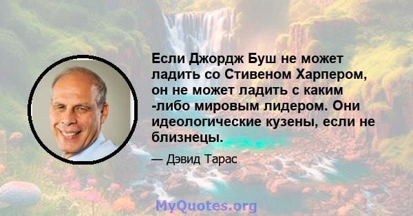 Если Джордж Буш не может ладить со Стивеном Харпером, он не может ладить с каким -либо мировым лидером. Они идеологические кузены, если не близнецы.