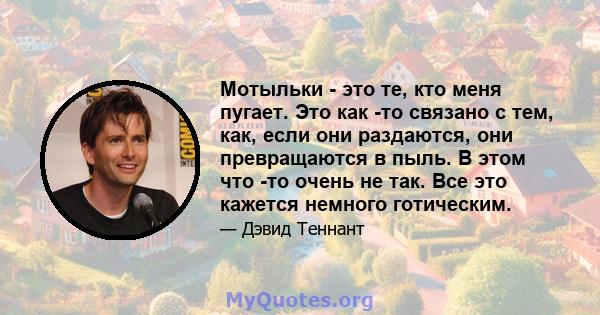 Мотыльки - это те, кто меня пугает. Это как -то связано с тем, как, если они раздаются, они превращаются в пыль. В этом что -то очень не так. Все это кажется немного готическим.