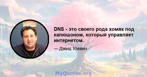 DNS - это своего рода хомяк под капюшоном, который управляет интернетом.