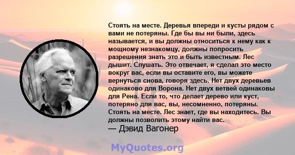 Стоять на месте. Деревья впереди и кусты рядом с вами не потеряны. Где бы вы ни были, здесь называется, и вы должны относиться к нему как к мощному незнакомцу, должны попросить разрешения знать это и быть известным. Лес 