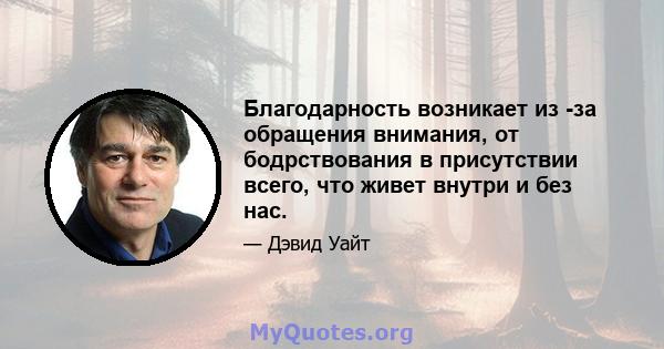 Благодарность возникает из -за обращения внимания, от бодрствования в присутствии всего, что живет внутри и без нас.