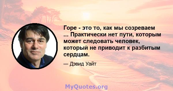 Горе - это то, как мы созреваем ... Практически нет пути, которым может следовать человек, который не приводит к разбитым сердцам.