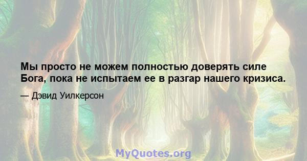 Мы просто не можем полностью доверять силе Бога, пока не испытаем ее в разгар нашего кризиса.