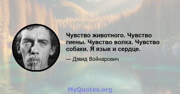 Чувство животного. Чувство гиены. Чувство волка. Чувство собаки. Я язык и сердце.