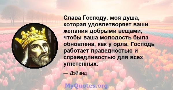 Слава Господу, моя душа, которая удовлетворяет ваши желания добрыми вещами, чтобы ваша молодость была обновлена, как у орла. Господь работает праведностью и справедливостью для всех угнетенных.