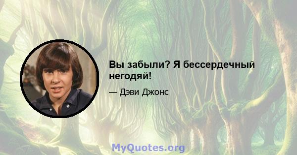 Вы забыли? Я бессердечный негодяй!