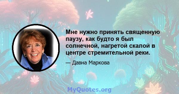 Мне нужно принять священную паузу, как будто я был солнечной, нагретой скалой в центре стремительной реки.