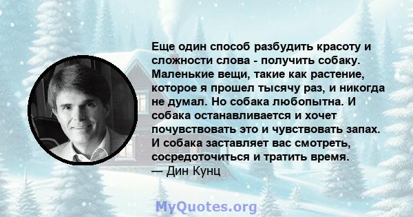 Еще один способ разбудить красоту и сложности слова - получить собаку. Маленькие вещи, такие как растение, которое я прошел тысячу раз, и никогда не думал. Но собака любопытна. И собака останавливается и хочет