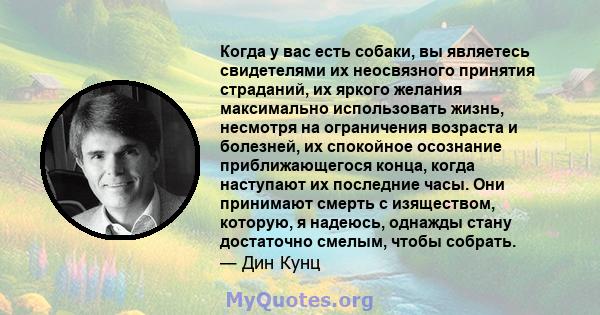 Когда у вас есть собаки, вы являетесь свидетелями их неосвязного принятия страданий, их яркого желания максимально использовать жизнь, несмотря на ограничения возраста и болезней, их спокойное осознание приближающегося