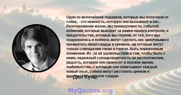 Один из величайших подарков, которые мы получаем от собак, - это нежность, которую они вызывают в нас. Разочарования жизни, несправедливости, событий избиения, которые выходят за рамки нашего контроля, и предательства,