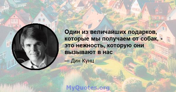 Один из величайших подарков, которые мы получаем от собак, - это нежность, которую они вызывают в нас