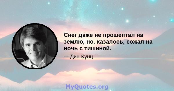 Снег даже не прошептал на землю, но, казалось, сожал на ночь с тишиной.