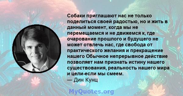 Собаки приглашают нас не только поделиться своей радостью, но и жить в данный момент, когда мы не перемещаемся и не движемся к, где очарование прошлого и будущего не может отвлечь нас, где свобода от практического